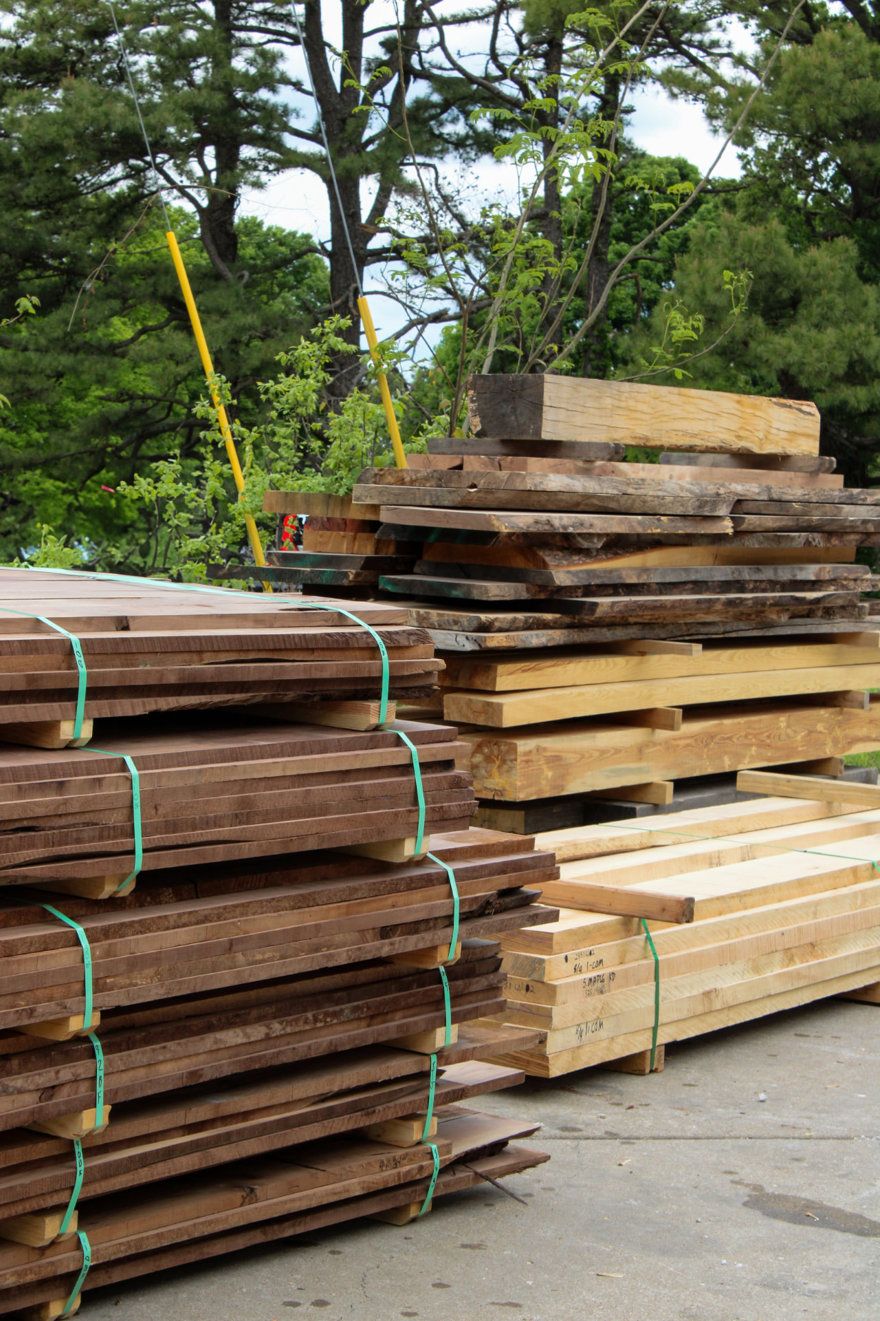 Banded packs of kiln dried hardwood in the yard
