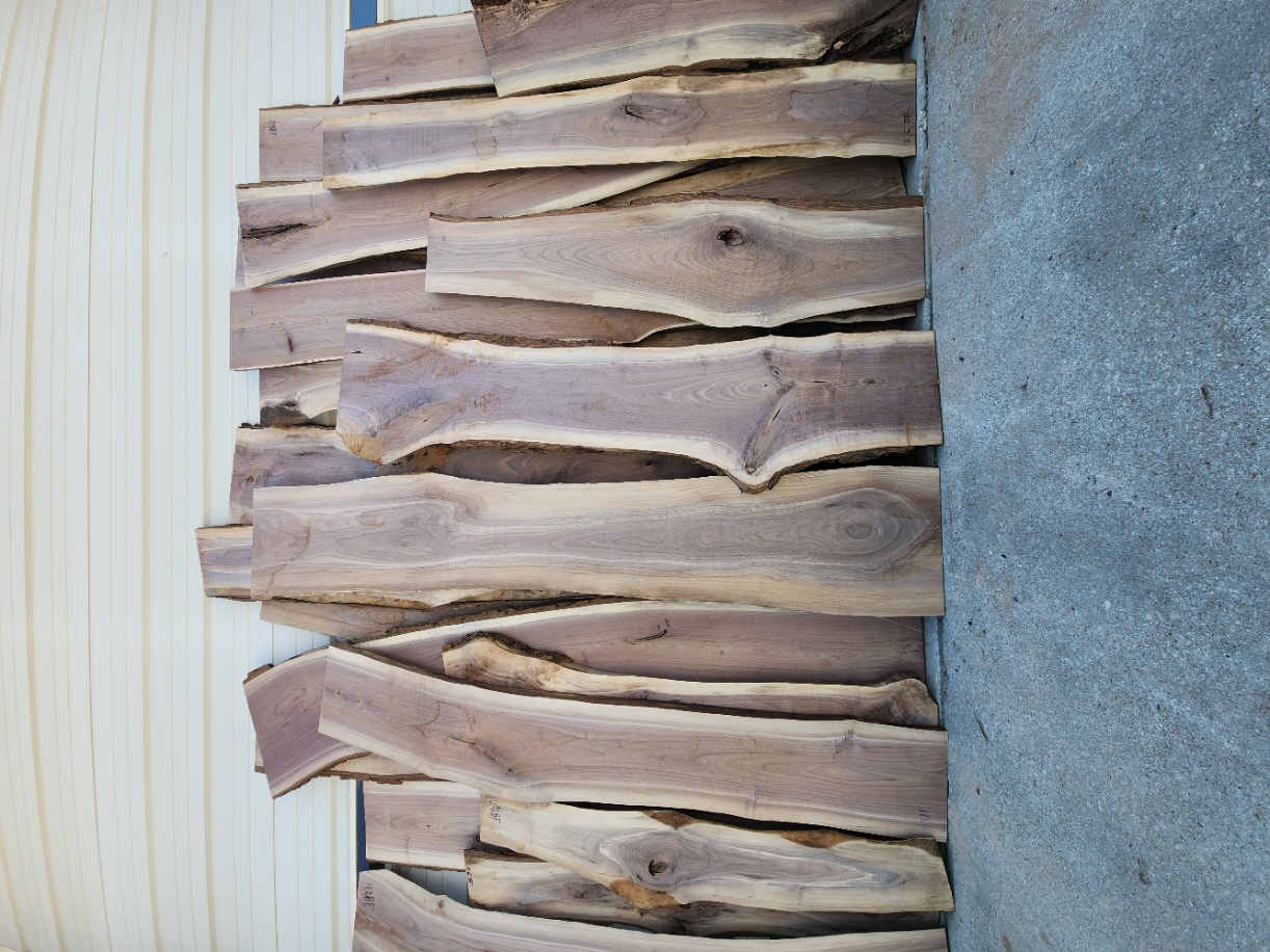 Live edge walnut slabs lined up outside the mill