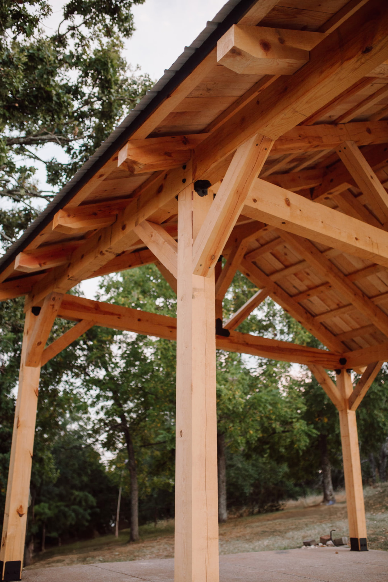 Timber frame pavilion rafters and posts under a metal roof